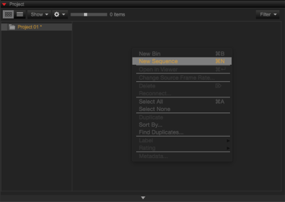 Create New Sequence from Project Group